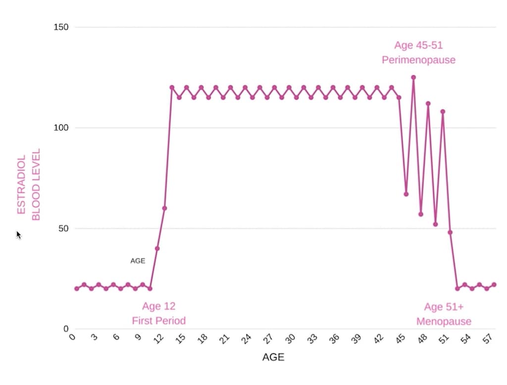 estradiol levels fluctuate over a lifetime