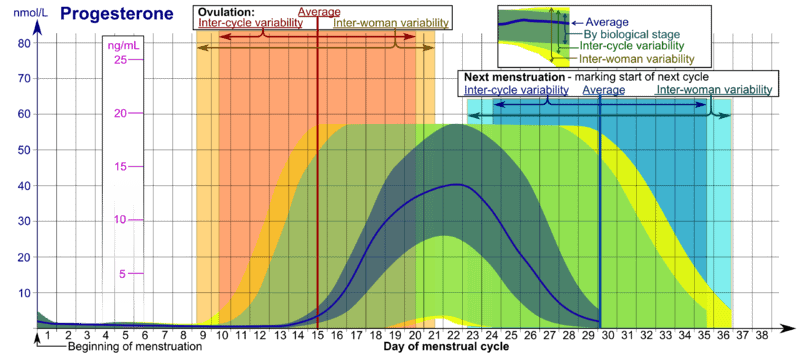 Progesterone Levels During Menstrual Cycle