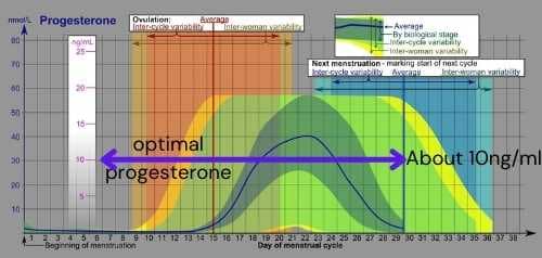 Optimal Progesterone Graph Optimal Progesterone Graph