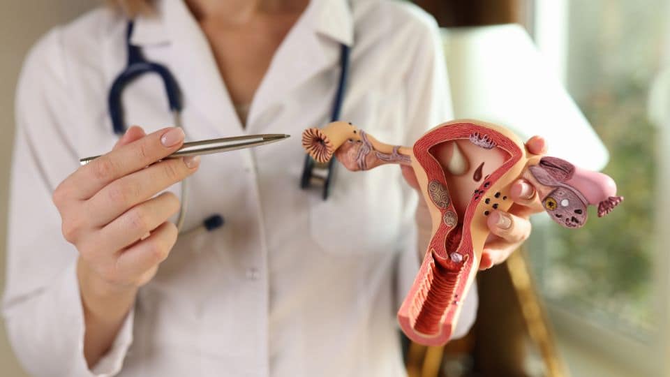 Progesterone from human ovaries Human ovaries make progesterone