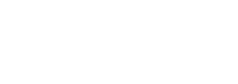 the-vital-lifelogo Dr Michael Lang logo