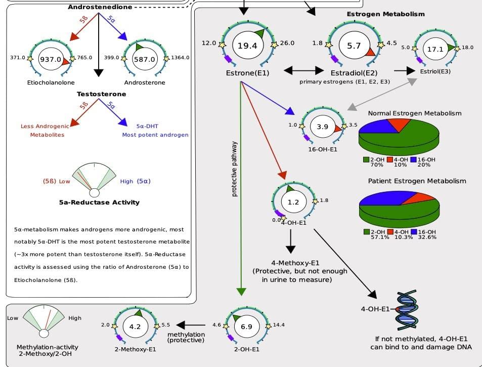 Family History of Breast Cancer Can Women Take Hormones for Menopause?